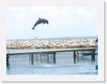 jump * 1024 x 768 * (121KB)