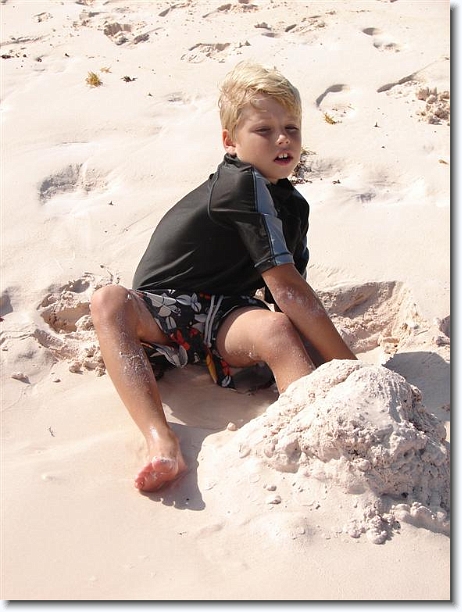Click for the original image