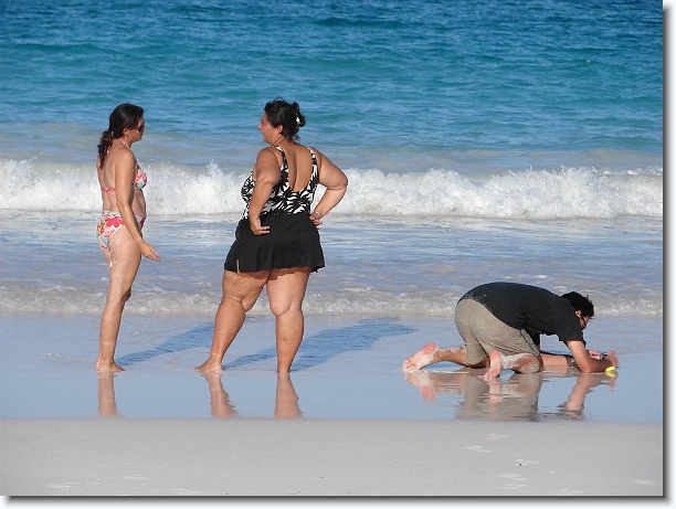 Click for the original image
