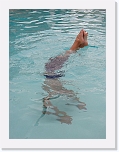 feet * 768 x 1024 * (104KB)