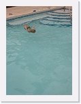 jason_dive2 * 768 x 1024 * (66KB)